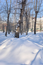 Similar image 21899576