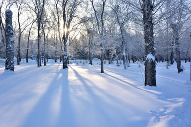 Similar image 21899577