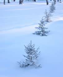 Similar image 21899579