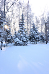 Similar image 21899580