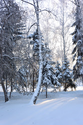 Similar image 21899581