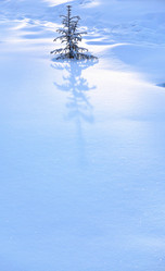 Similar image 21899582