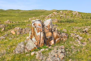 Similar image 21899948