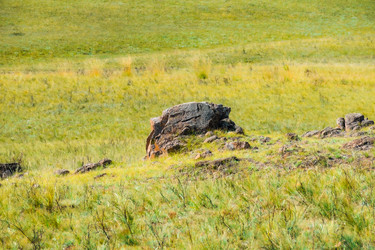 Similar image 21899950