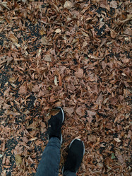 Similar image 21898930