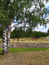 Similar image 21898931