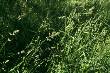 Similar image 21900087