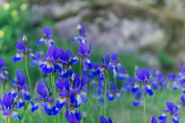 Similar image 21900094