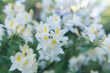 Similar image 21900104