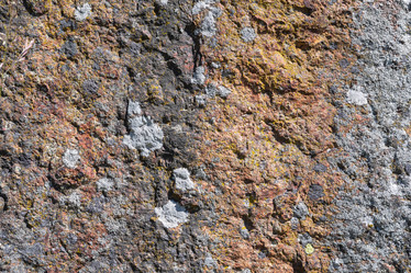 Similar image 21900107