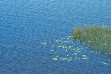 Similar image 21900108