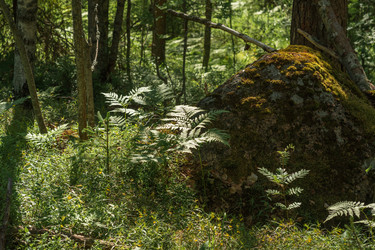 Similar image 21900109