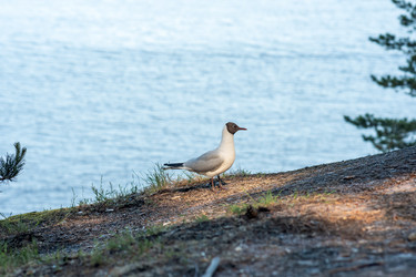 Similar image 21900110