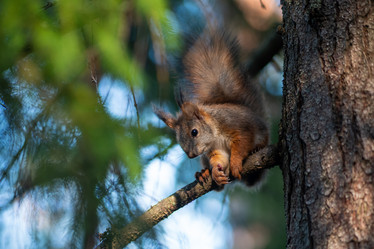 Similar image 21900111