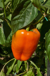 Similar image 21898938