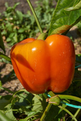 Similar image 21898941