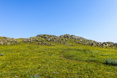 Similar image 21899841