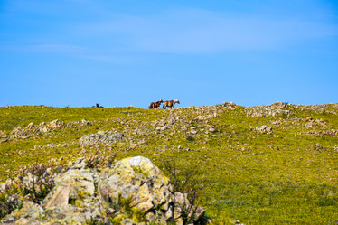 Similar image 21899957