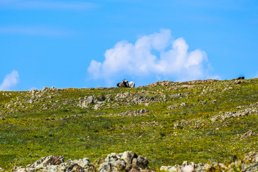 Similar image 21899958