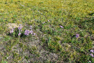 Similar image 21899959