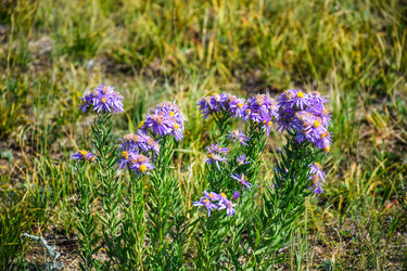 Similar image 21899960