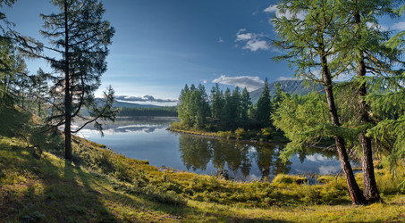 Similar image 21905165