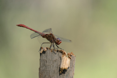 Similar image 21905383