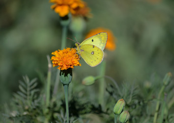 Similar image 21905384