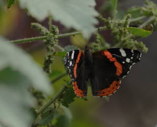 Similar image 21905385