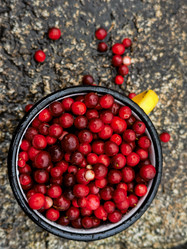 Similar image 21898943