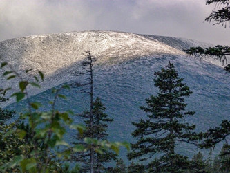 Similar image 21898944