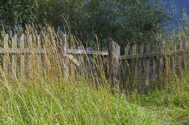 Similar image 21898947