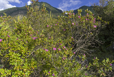 Similar image 21898953