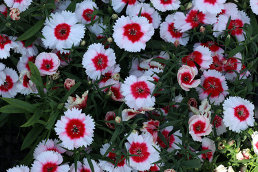 Similar image 21898958