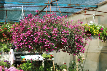 Similar image 21898959