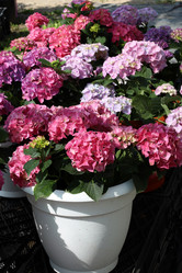 Similar image 21898960