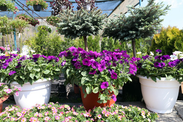 Similar image 21898963