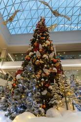 Similar image 21899974