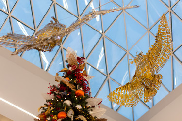 Similar image 21899976