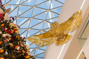 Similar image 21899977