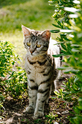 Similar image 21902450