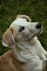 Similar image 21902451