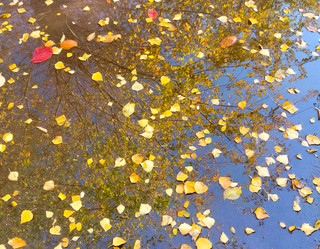 Similar image 21898985