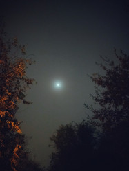 Similar image 21898986