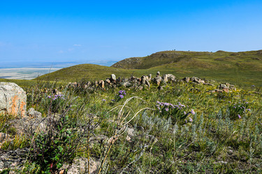 Similar image 21899854