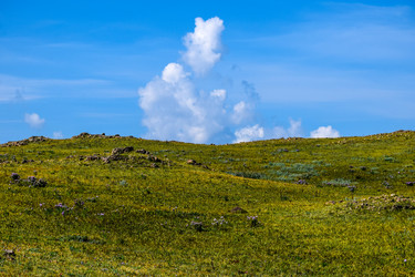 Similar image 21899855