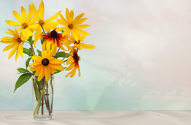 Similar image 21899302