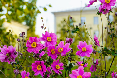 Similar image 21907570