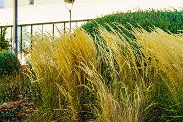 Similar image 21907571