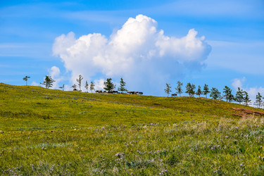 Similar image 21899863